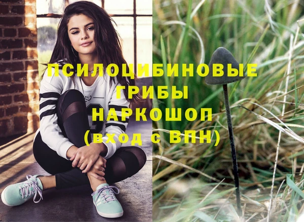 стафф Горняк