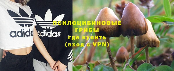 стафф Горняк