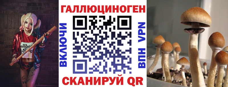 Галлюциногенные грибы Psilocybe  kraken ТОР  Олёкминск 